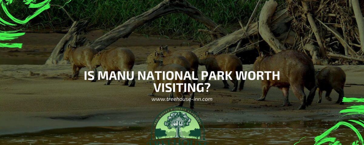 Is Manu National Park Worth visiting?