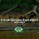 Is Manu National Park Worth visiting?